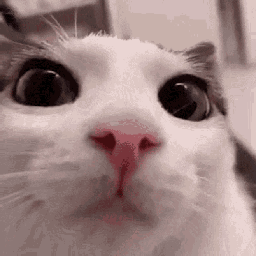 team100dollars-T1DModPack icon