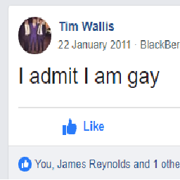 temerazkermit-kermit_goes_gambling icon