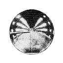 theUniversesOtherFace-quota_bozos_modpack icon