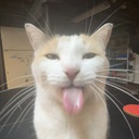 the_boyz-Goofy_mods icon