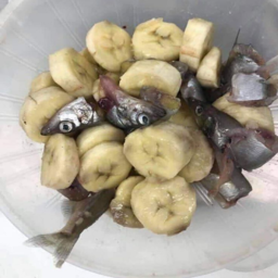 the_peen_team-the_peen_team icon