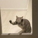 the_stinky_stinkers-doodoofart_modpack icon