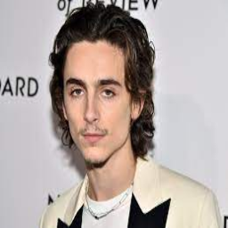 the_team-Timothee_Chalamet_is_the_bracken icon