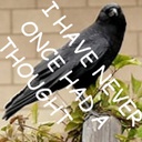 thecommacrow-CrowsCanDriveCarsRadio icon