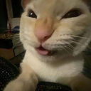 thefunnigang-hehefunimodpack icon