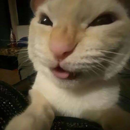 thefunnigang-hehefunimodpack icon