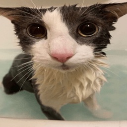 thegoonsquad-gooncave icon