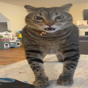 thegoonsquad_4987-TheGoonPackV2 icon