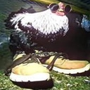 thewangers-brandnewmodpack icon