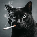 thylordkings-Thylords_Paradise icon