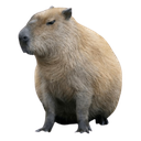 tocap-Get_ready_to_die icon