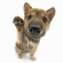 tomimodsv2-modpack_tomi icon