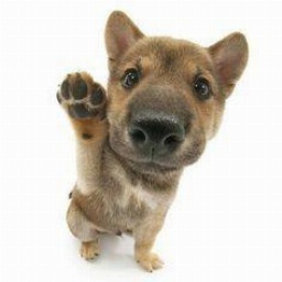 tomimodsv2-modpack_tomi icon