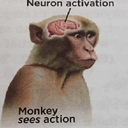 tongo-TongoRepo icon