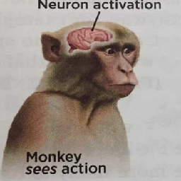 tongo-TongoRepo icon