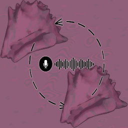 tony4twenty-Conchversations_Beta icon