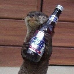 transmods-NatalieModpack icon