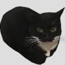 trustworthy-MaxwellTheCat icon