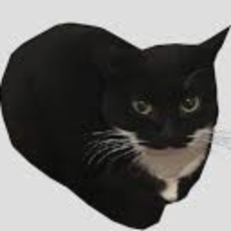 trustworthy-MaxwellTheCat icon