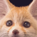 tufty-Le_Goob_Posters icon