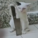 tybee-Vanilla_w_Fixes_SFW_Skins icon