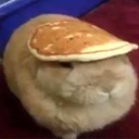 v_goos-Somethingcool icon