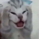 valecrown-SillyCompany icon