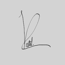 vestalis-vestalpack icon