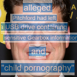 videohouse-RandyWelcomingSkinTemplate icon