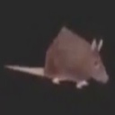 voie-FreeBirdEurobeatJester icon