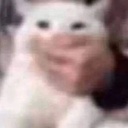 wah-Catrub_Club_LC_Modpack icon