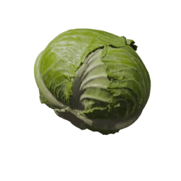 waitstop-CabbageHat icon