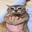 watchoutbro-WatchOutBro icon