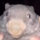 whag-WHITEBOARD_INC_ULTIMATE_PACK icon