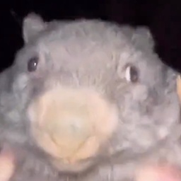 whag-WHITEBOARD_INC_ULTIMATE_PACK icon