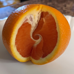 whale_net-whalers_on_the_moon icon