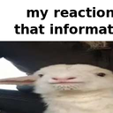 whatsamotto-AAAA icon