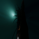 whatsamotto-DARKDECAY icon