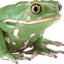 wofikon53-UniversalCustomMusic icon