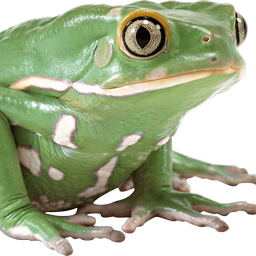 wofikon53-UniversalCustomMusic icon