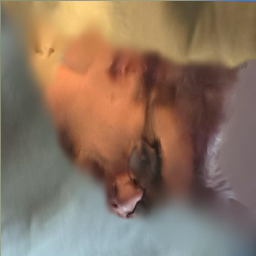 wrightway-DanielGrainualson icon