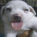 xXcoolawesometeamXx07-WinterArc_Modpack icon