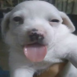 xXcoolawesometeamXx07-WinterArc_Modpack icon