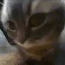 xeph-Chipichipichapachapa icon