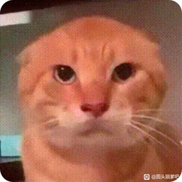 xiaojiang1874-xiaojiangcoop icon