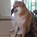 yeehawcowboy-PsuGamingNight2 icon