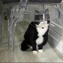 z5zzzzz-thisisatravesty icon