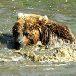 zags-ZagsModPack icon