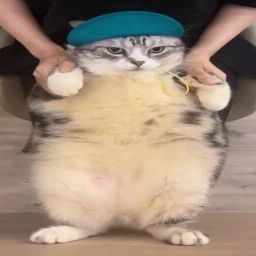 zaincult-ZainCult_QOL icon