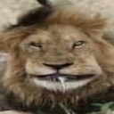 zalupka-ssdddasdasdsad icon